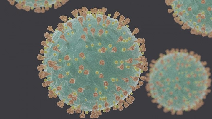 CoronaVirus